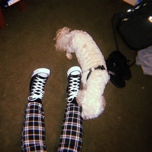 Meet your Posher, Cheyenne